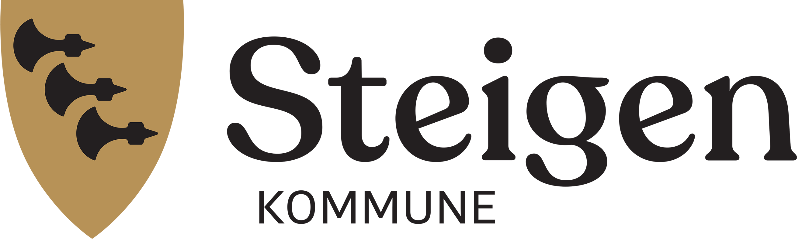 Steigen kommune
